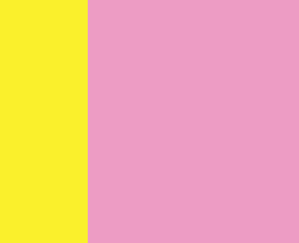 Collier pour chien - Rose & Jaune - Approved by Fritz