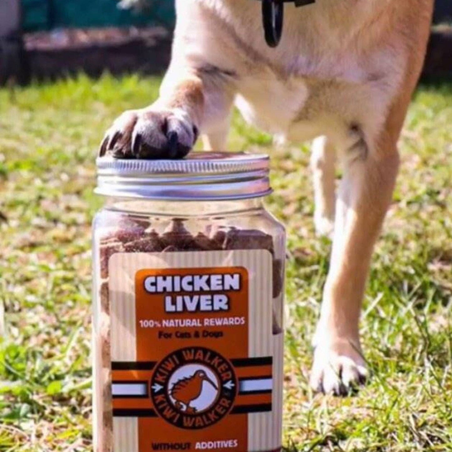 Friandises naturelles pour chien - 115g - Canard - Kiwi Walker