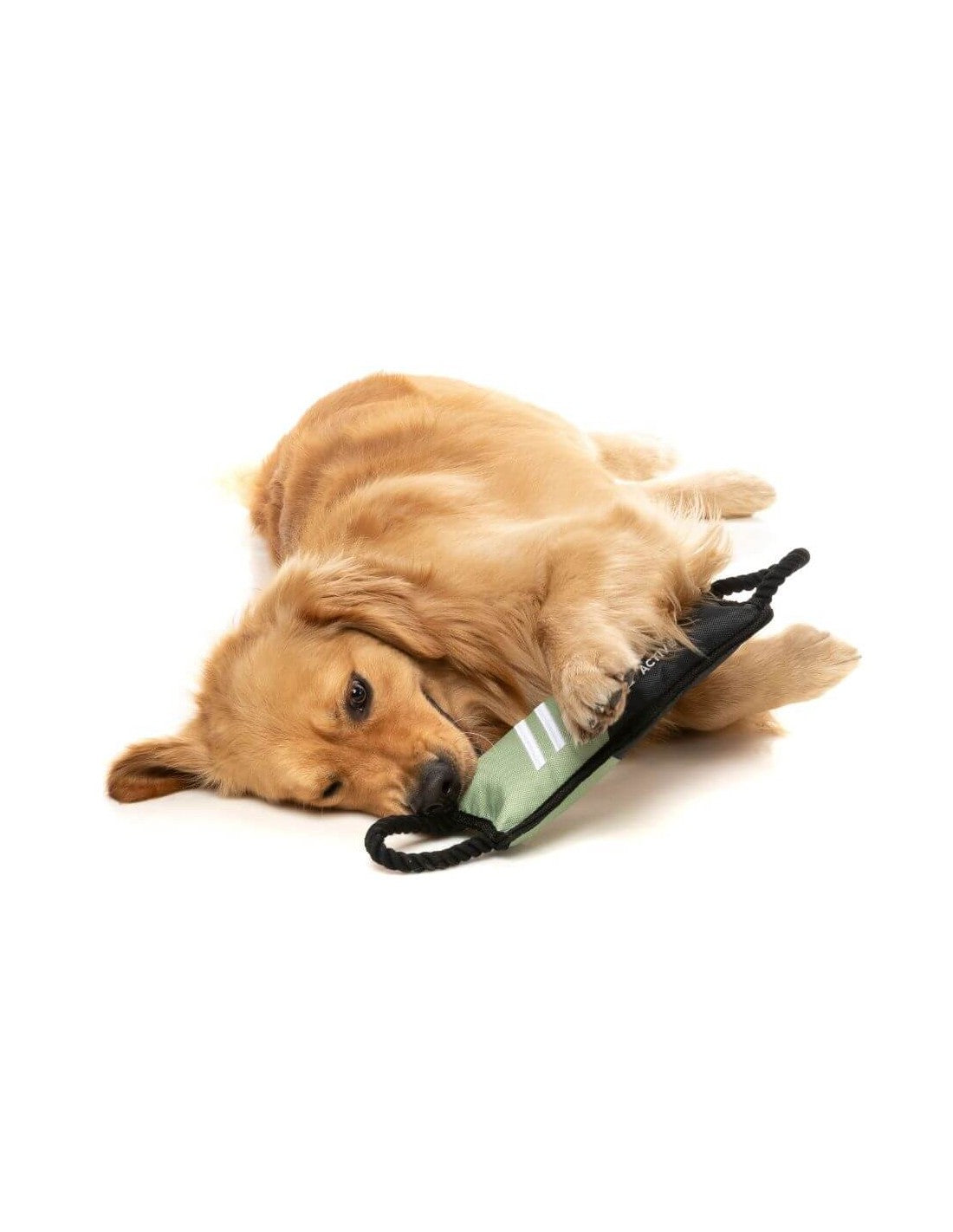 Jouet Rop tug pour chien - Kaki - Fuzzyard