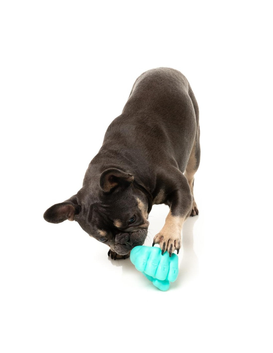 Jouet pour chien - poing à fourrer - Fuzzyard