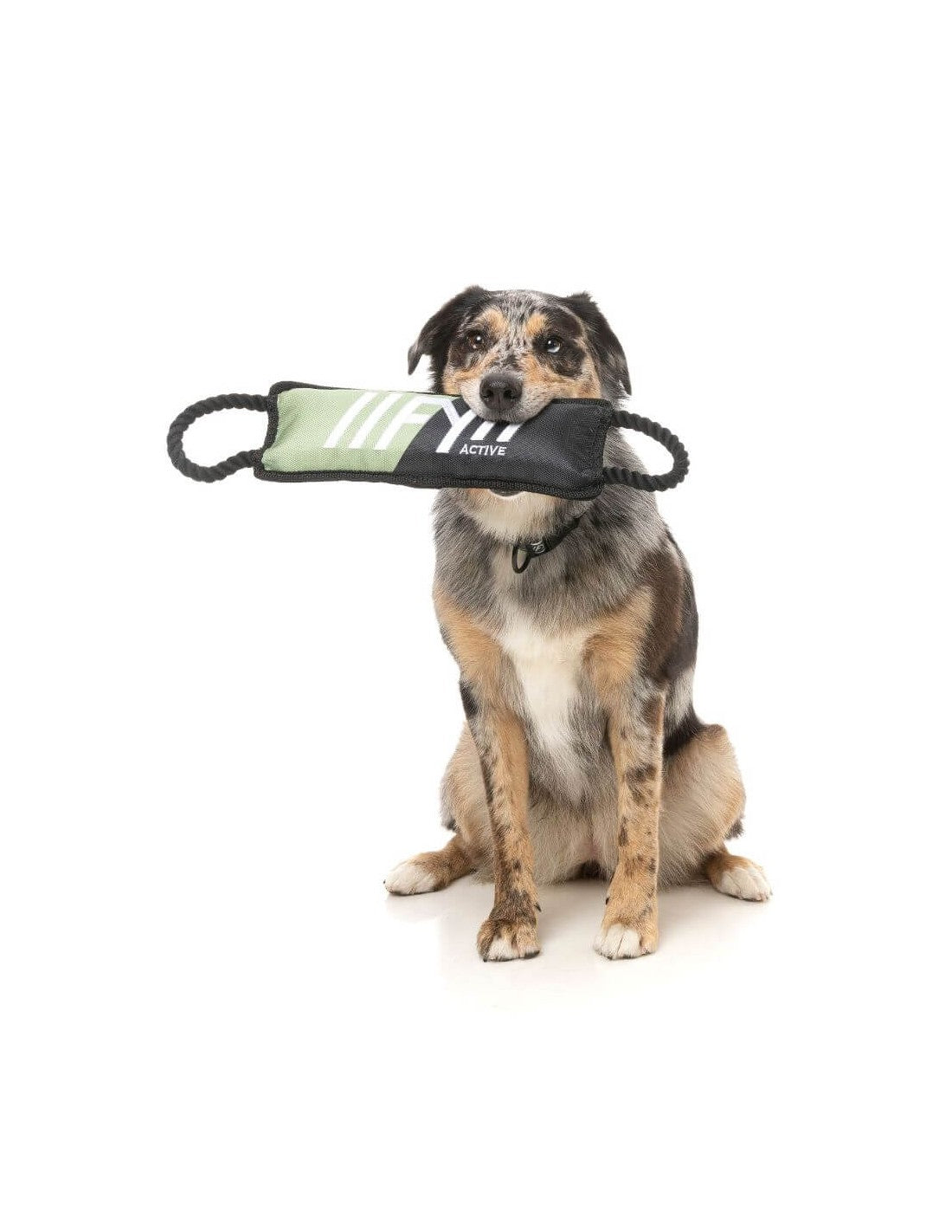 Jouet Rop tug pour chien - Kaki - Fuzzyard