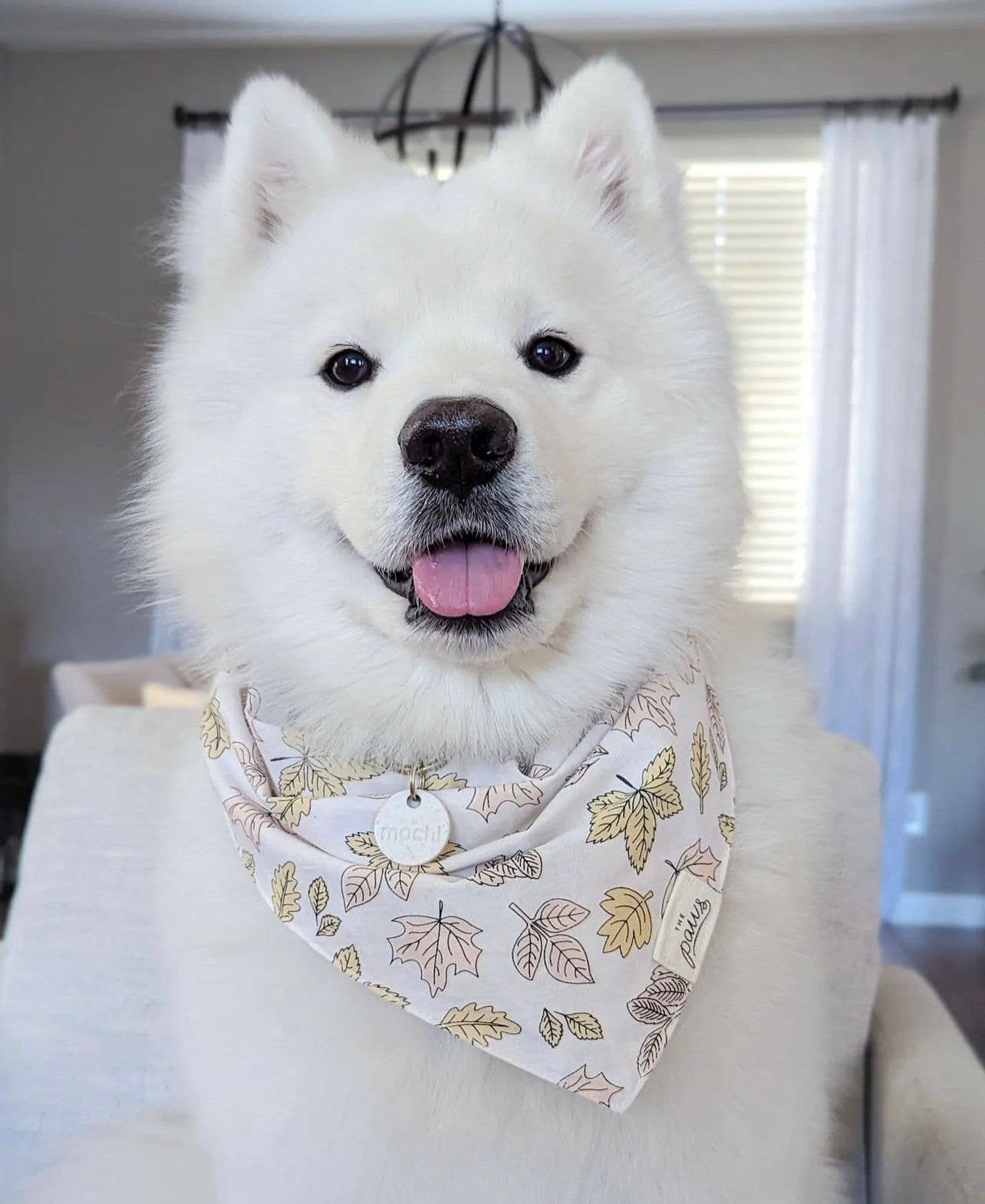 Bandana pour chien FEUILLES D'AUTOMNE