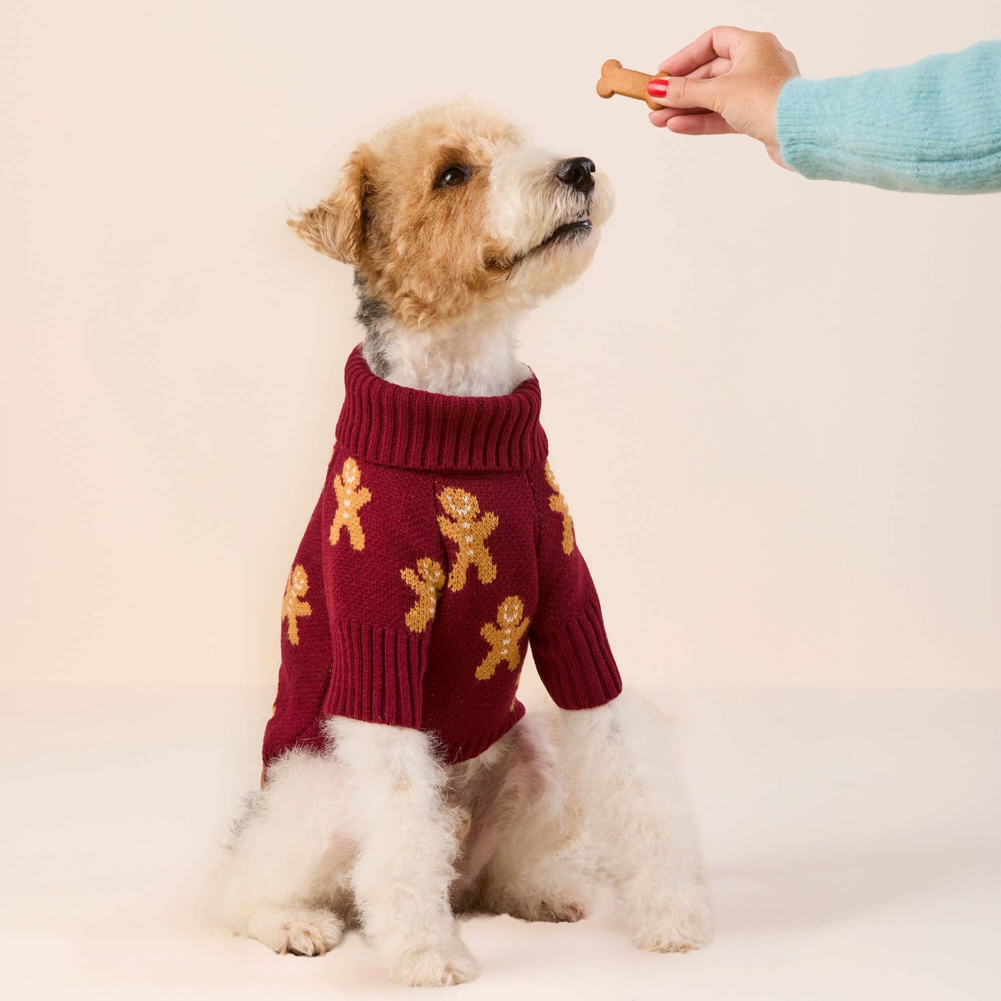 Pull pour chien Bonhomme en pain d'épice - Rouge Bordeaux