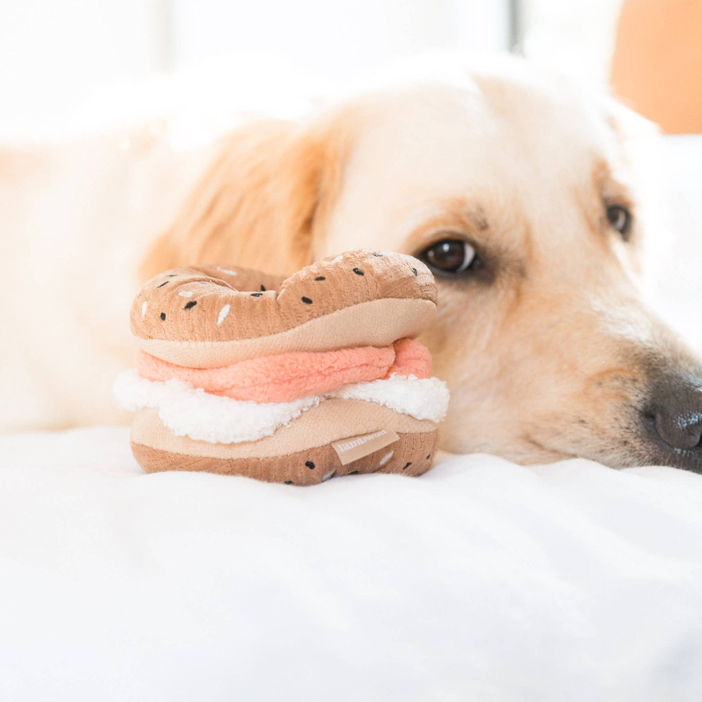 Jouet de fouille pour chien - Bagel + Cornichon - Lambwolf