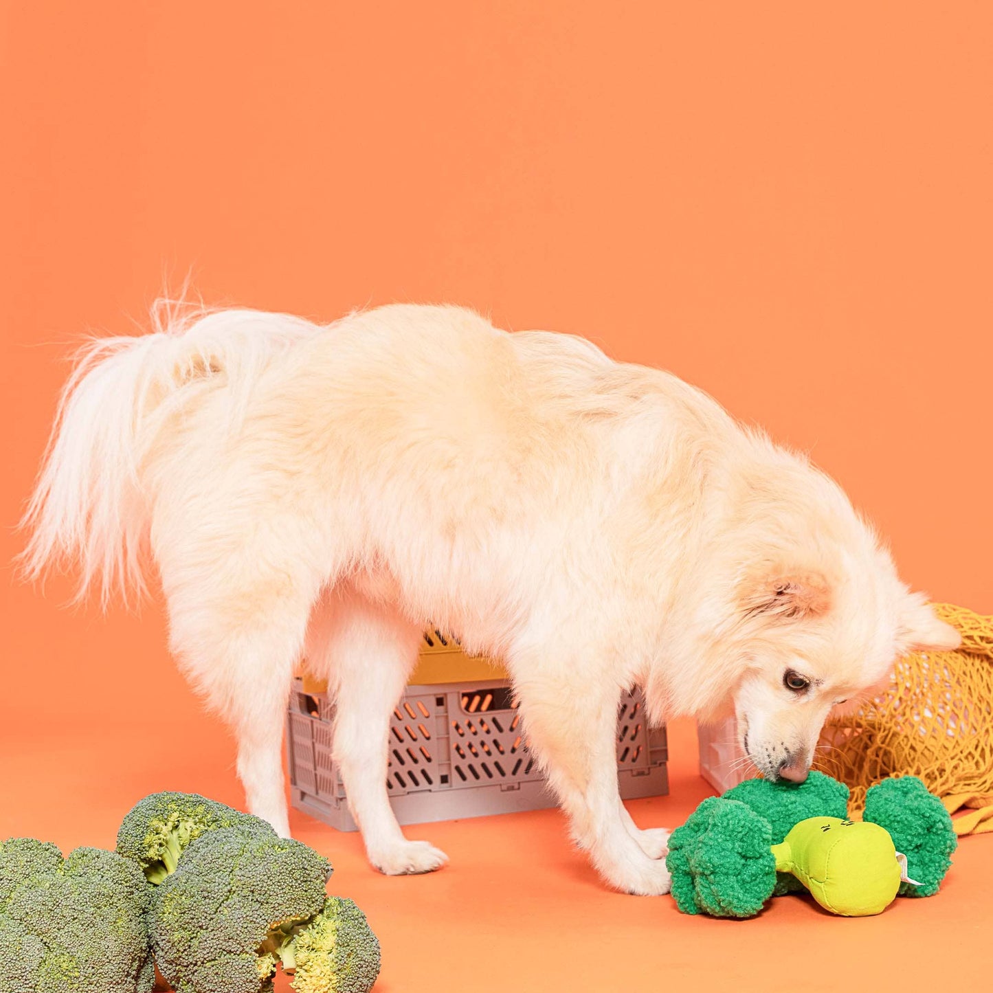 Jouet de fouille pour chien - Brocoli - The Furryfolks