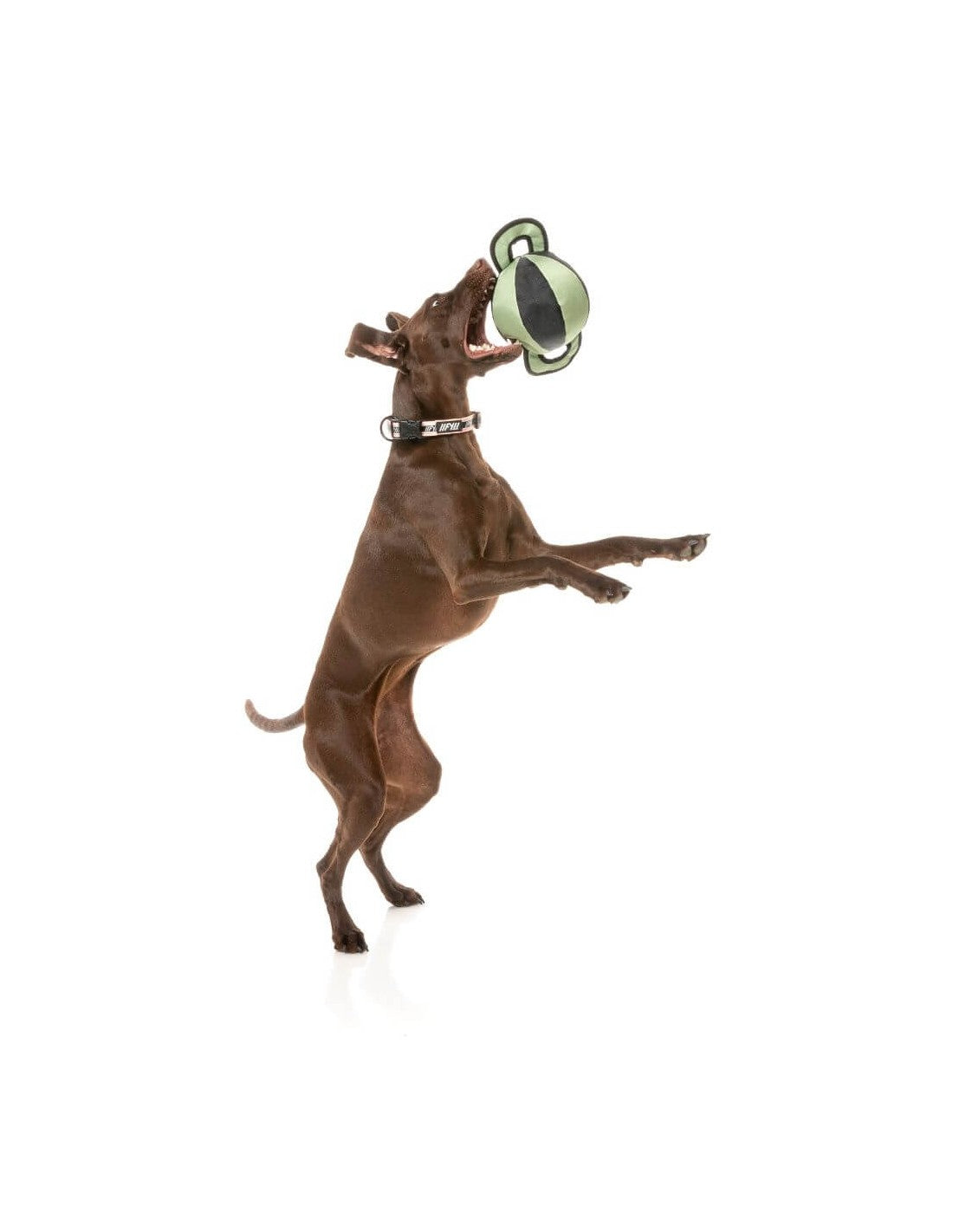Balle tug pour chien - Kaki - Fuzzyard