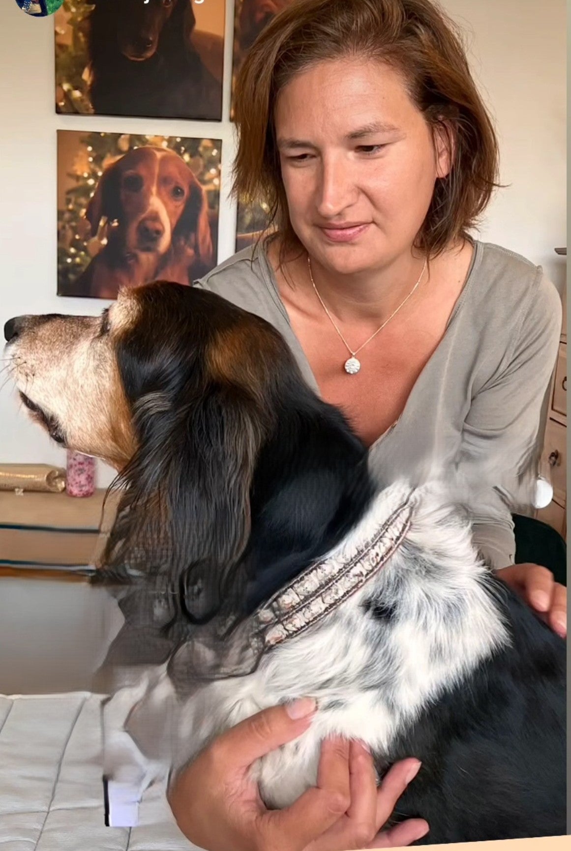 Et si le corps de votre chien pouvait vous montrer ce dont il a besoin pour se sentir bien?