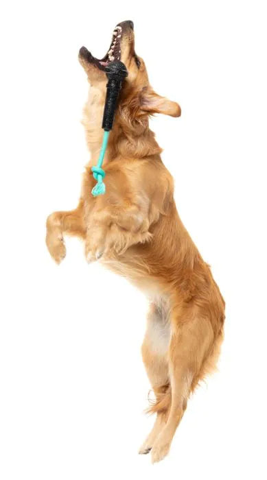 Jouet pour chien - Micro - Fuzzyard