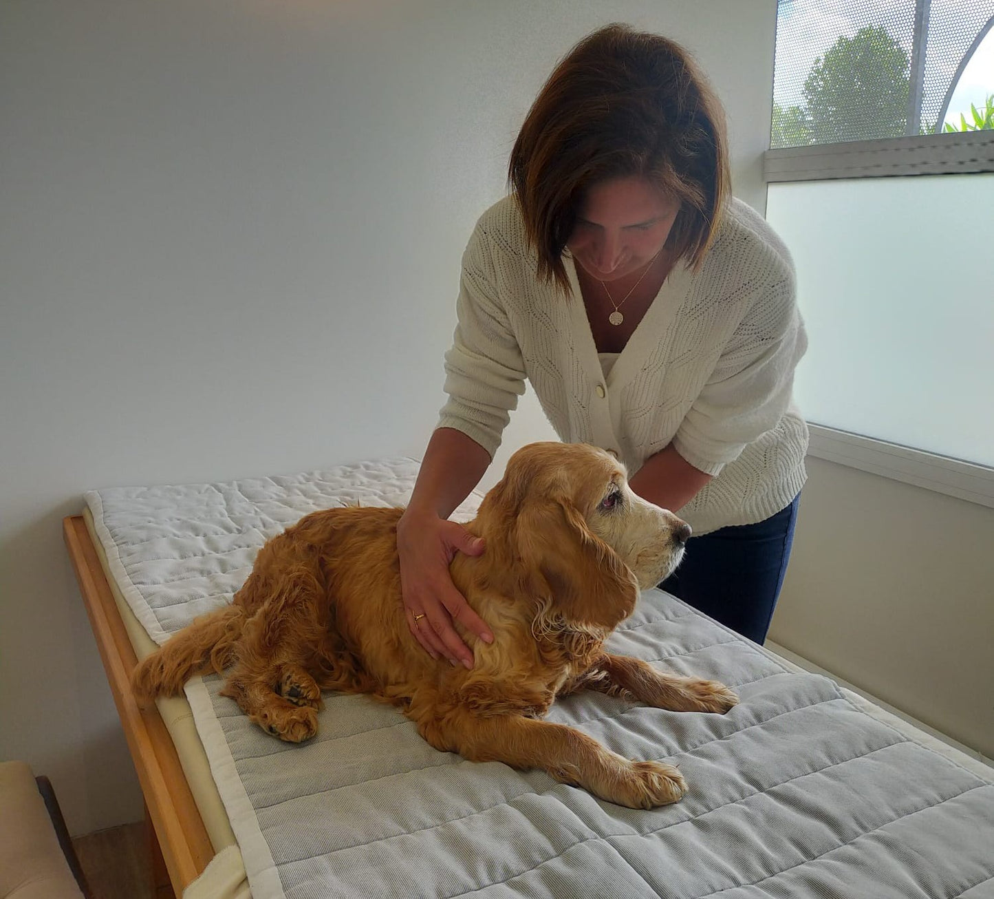 Et si le corps de votre chien pouvait vous montrer ce dont il a besoin pour se sentir bien?