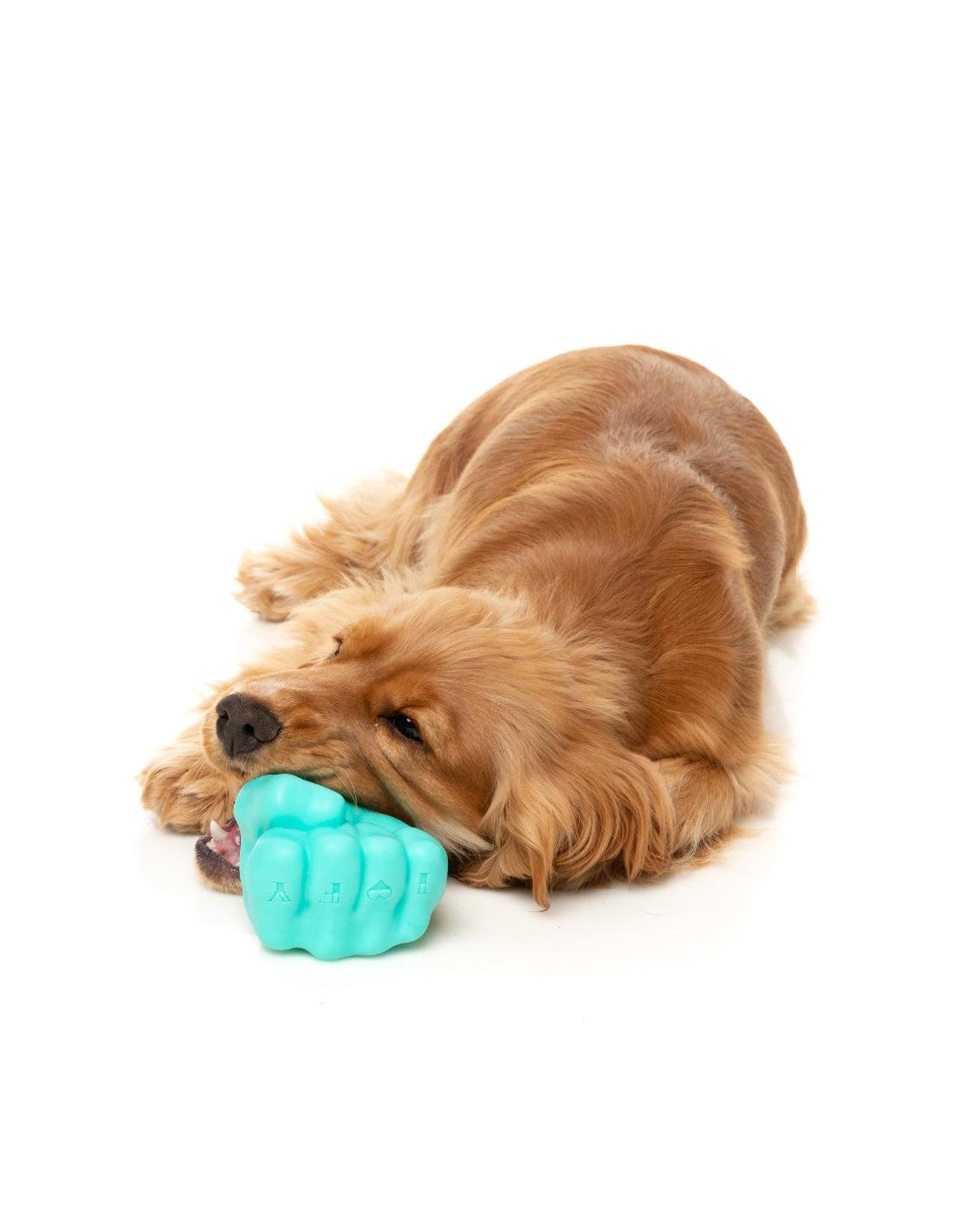 Jouet pour chien - poing à fourrer - Fuzzyard
