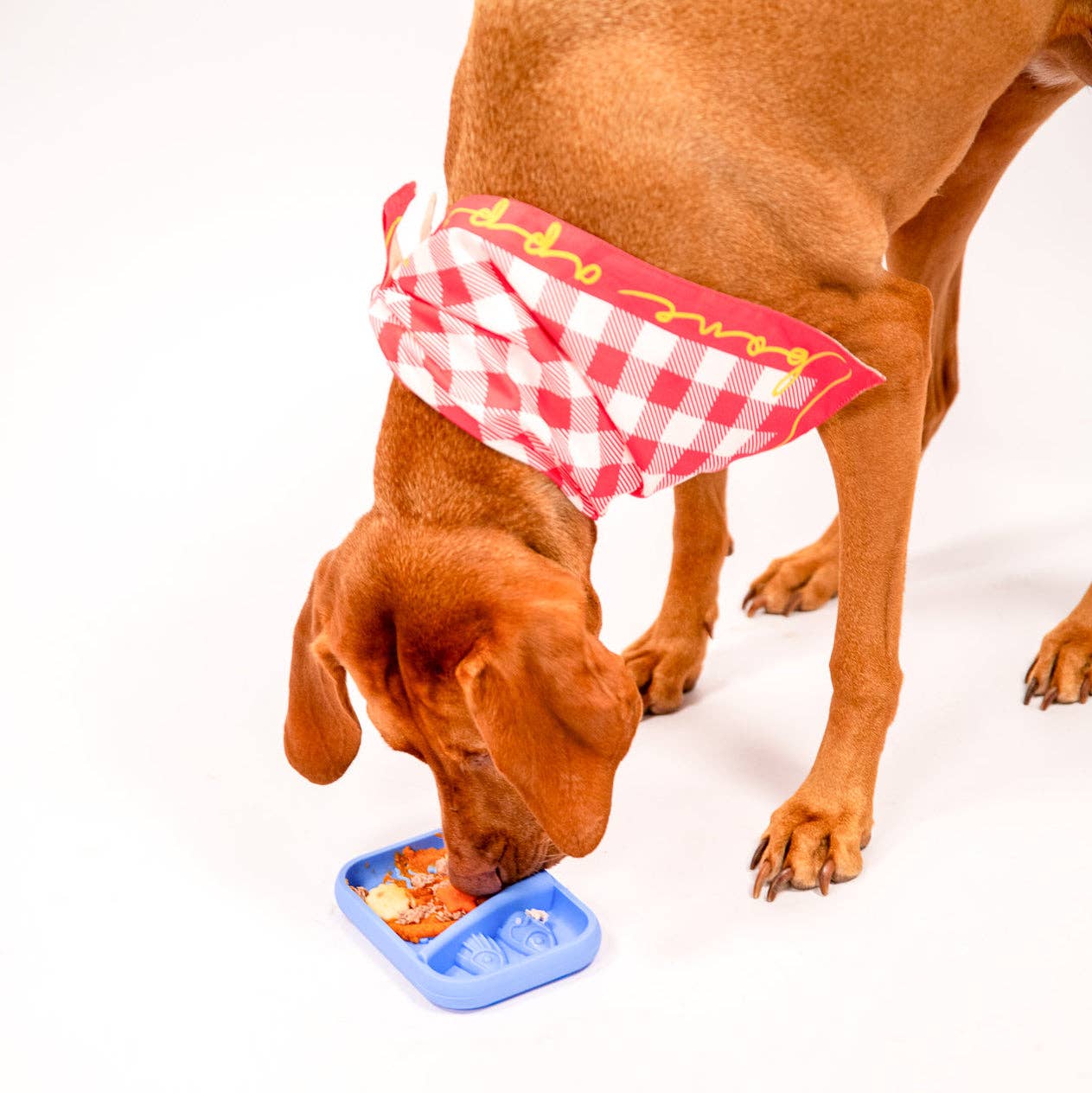 Tapis de léchage pour chien - Boite de sardine Orange - Awoo