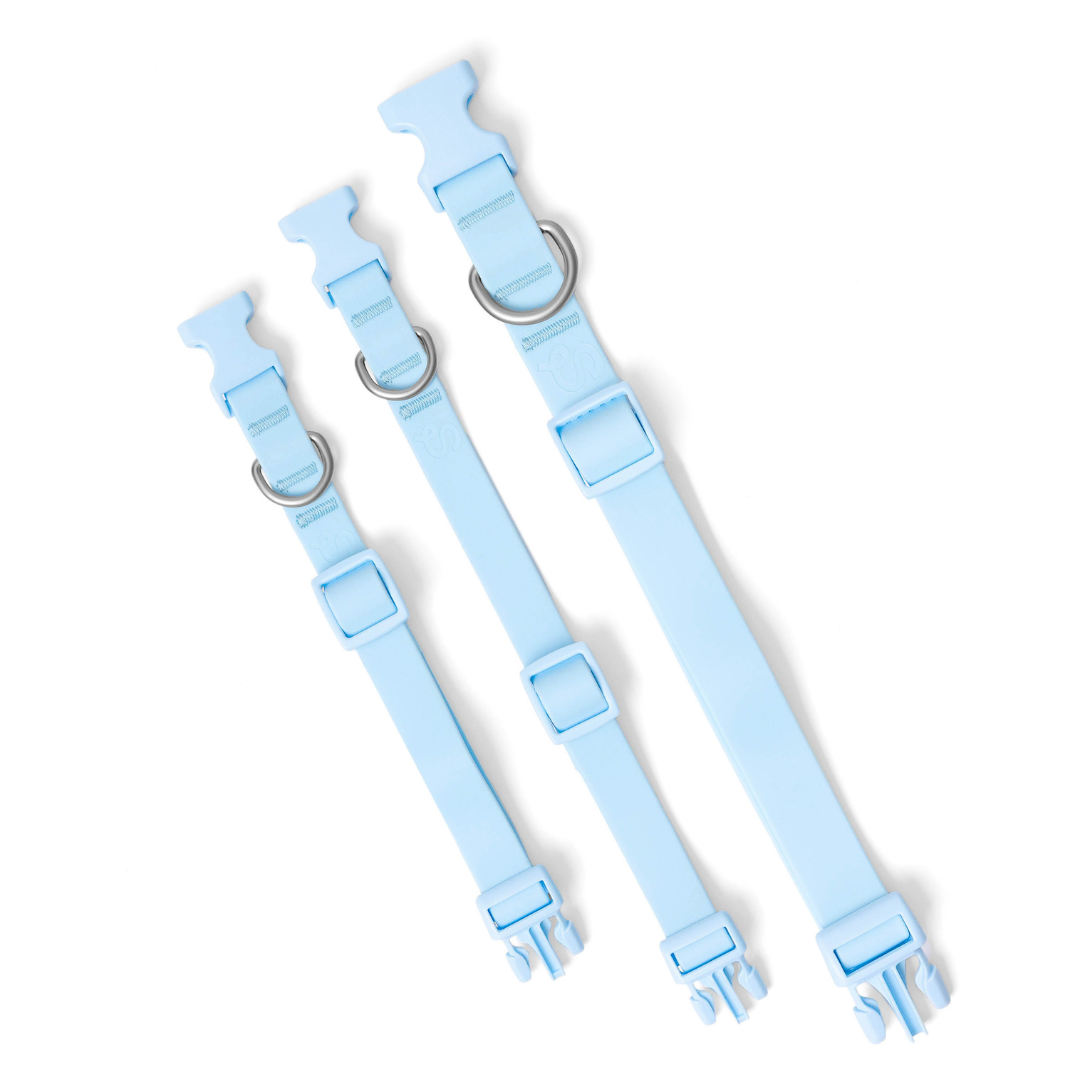 Collier pour chien imperméable - Bleu Ciel - Springer Pets