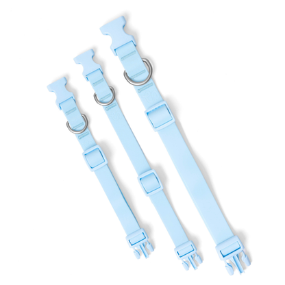 Collier pour chien imperméable - Avoine - Springerland Pets