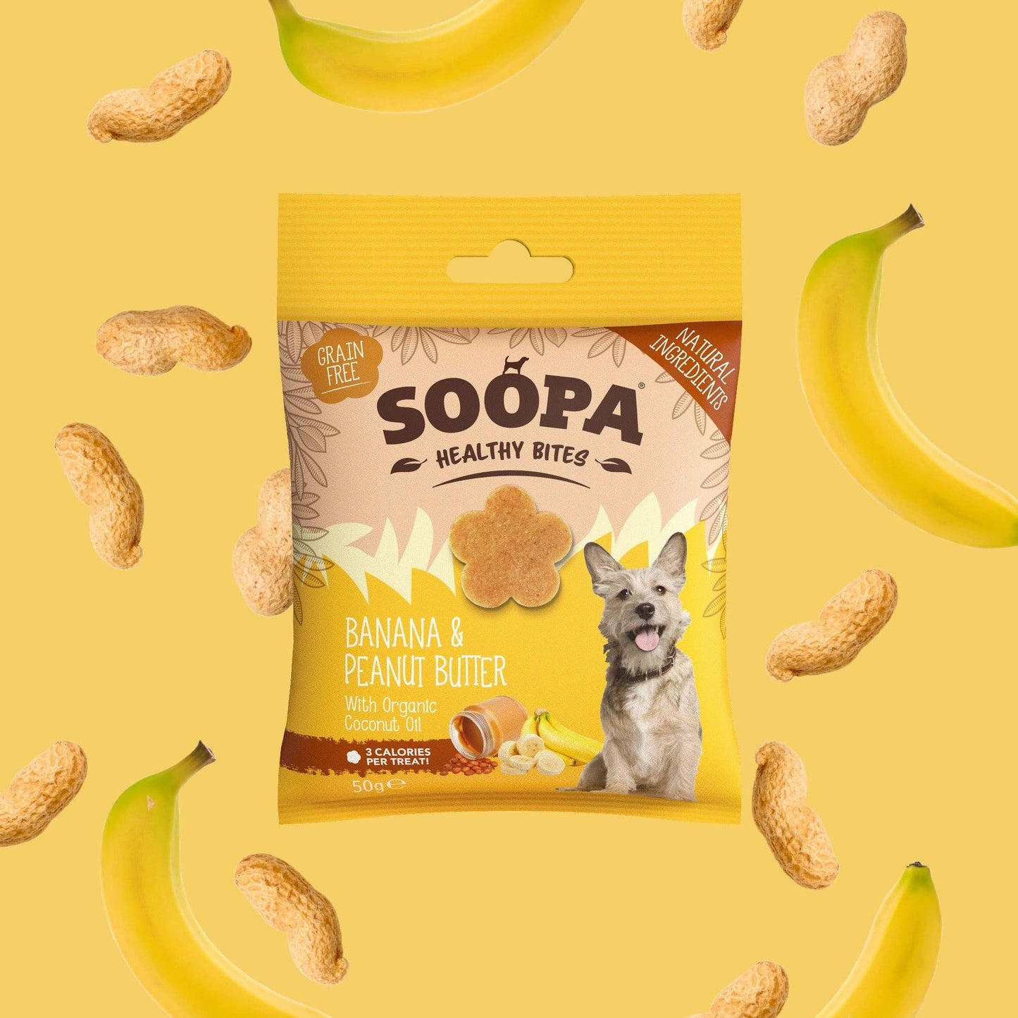 Friandises pour chien à la banane et au beurre de cacahuète - Soopa