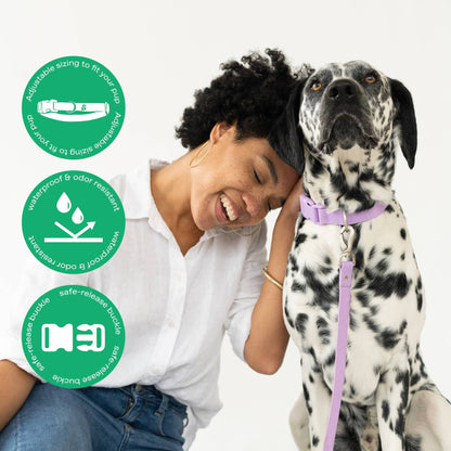 Collier pour chien imperméable - Rouge - Springland Pets