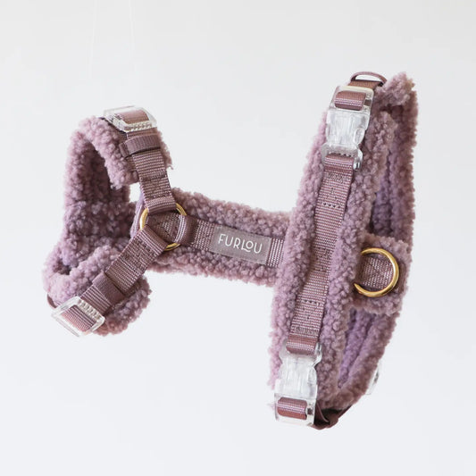 Harnais pour chien Sherpa - Violet - Furlou