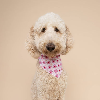 Bandana pour chien Poppy - Fleures rose - The Paws