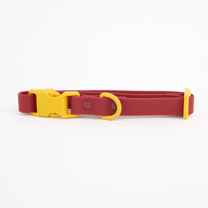 Le collier pour chien Fritz  - Vert Liberty