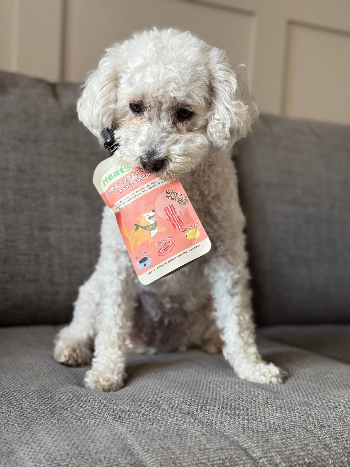 Friandise en Tube de Beurre de cacahuète au Bacon pour chiens