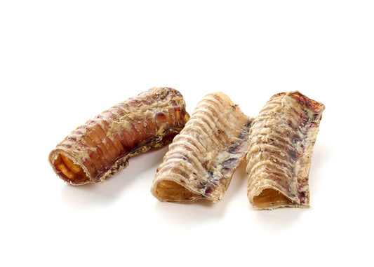 trachées de bœuf, courtes - 100 g