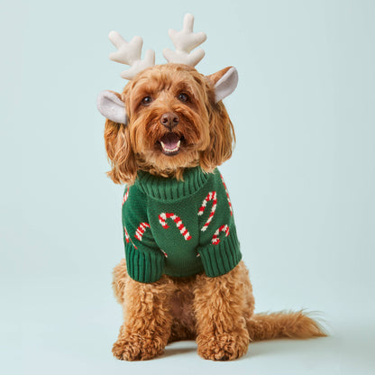 Pull pour chien en bonbon de Noel - Vert