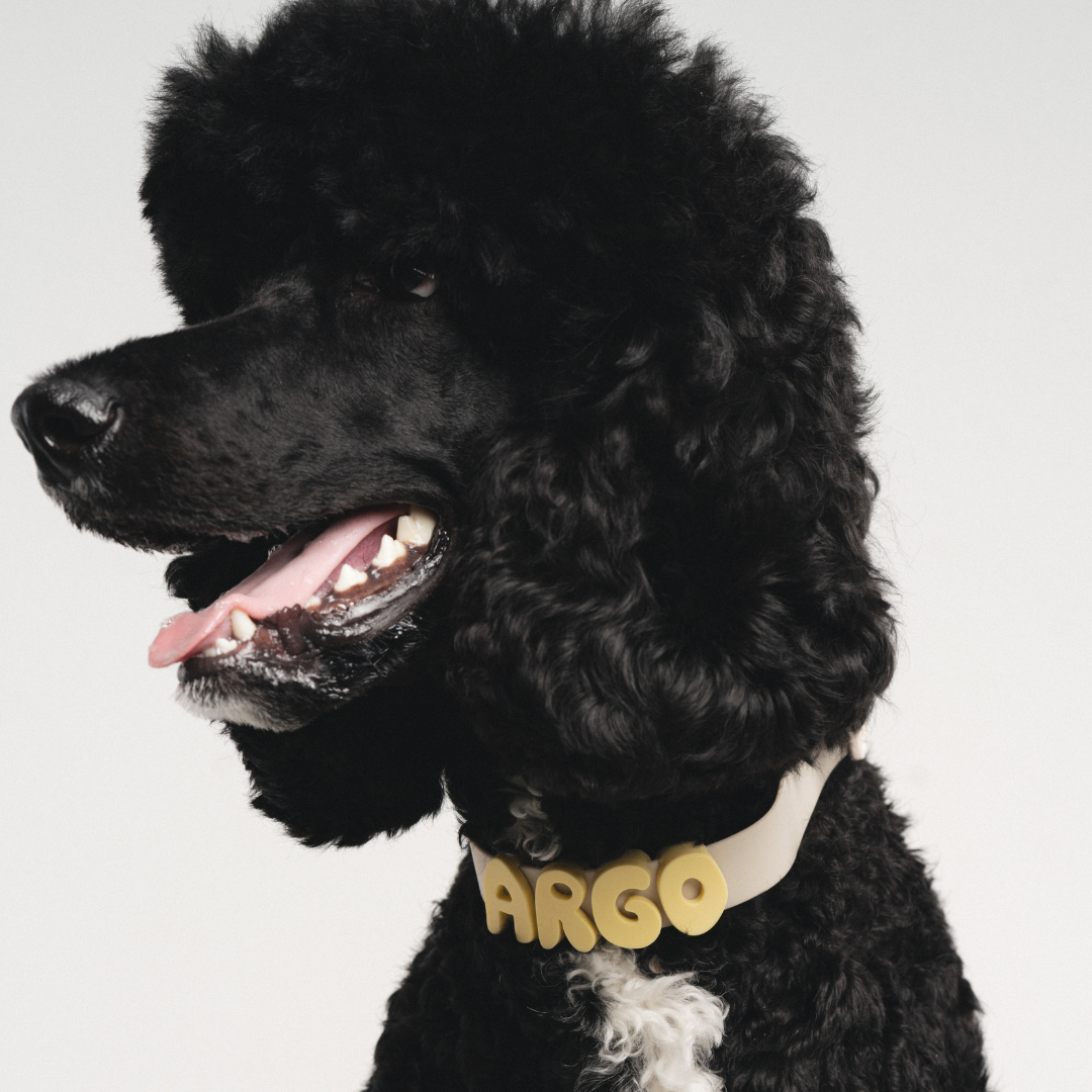 Charms pour chiens en silicone - Jaune Beurre - Springerland Pets