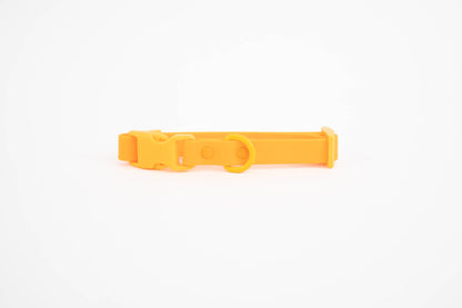 LE COLLIER POUR CHIEN - BLEU & ORANGE - APPROVED BY FRITZ