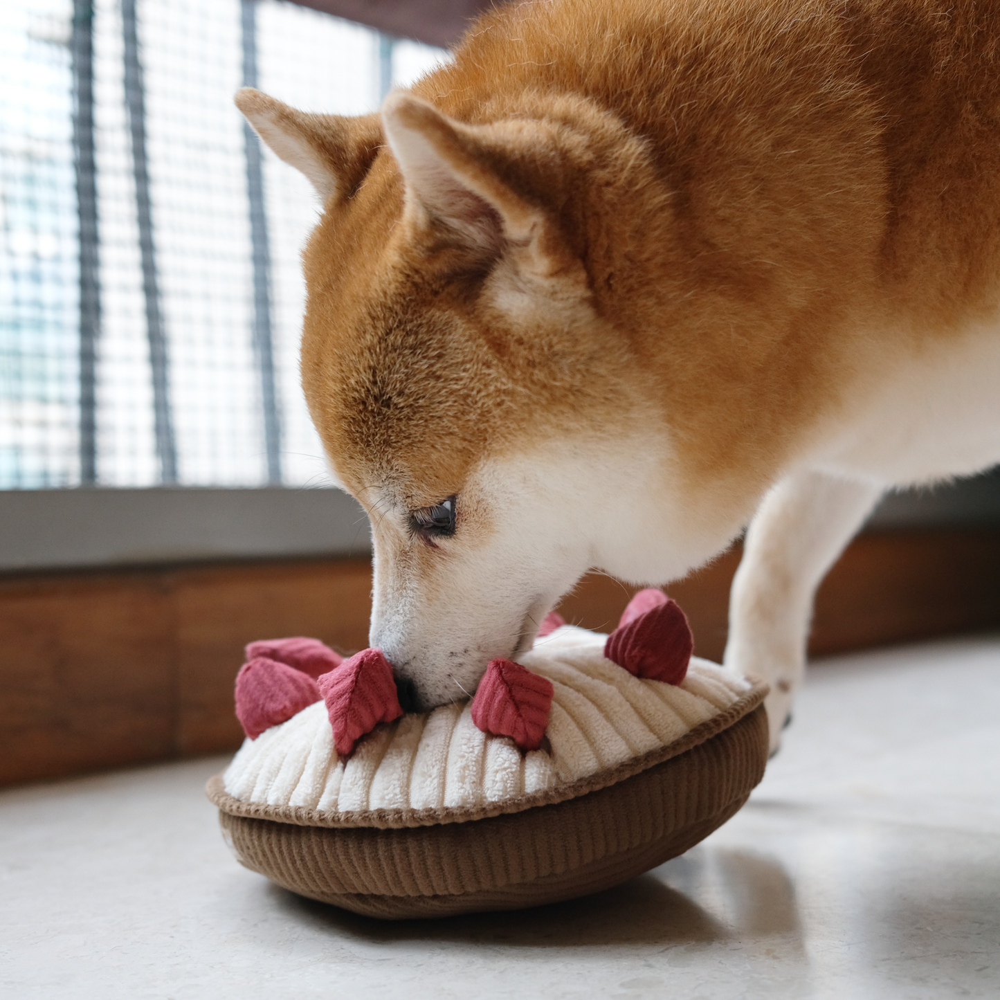 JOUET POUR CHIEN EN FORME DE TARTE AUX fraises - Lambwolf