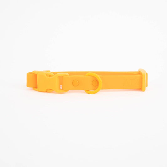 Le collier pour chien Fritz - Mangue orange
