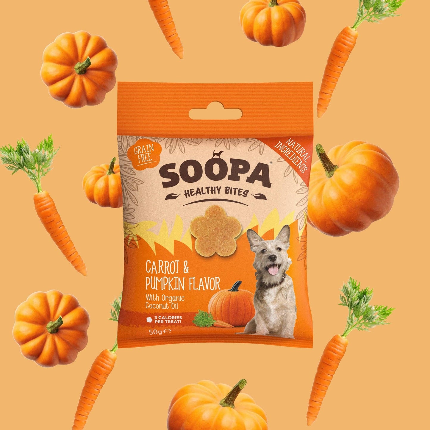 Friandises pour chiens à la carotte et à la citrouille - Soopa