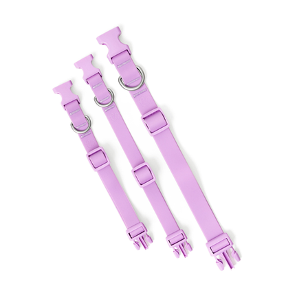 Collier pour chien imperméable - Lilas - Springerland Pets