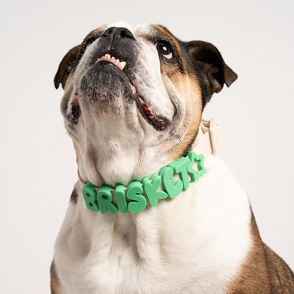 CHARMS POUR CHIENS EN SILICONE - VERT - SPRINGERLAND PETS