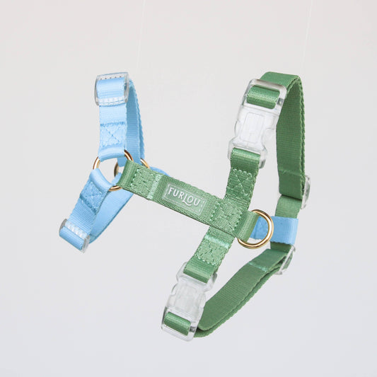 Harnais pour chien - Bleu & sauge - Furlou