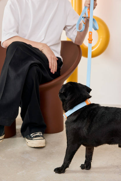 LE COLLIER POUR CHIEN - BLEU & ORANGE - APPROVED BY FRITZ