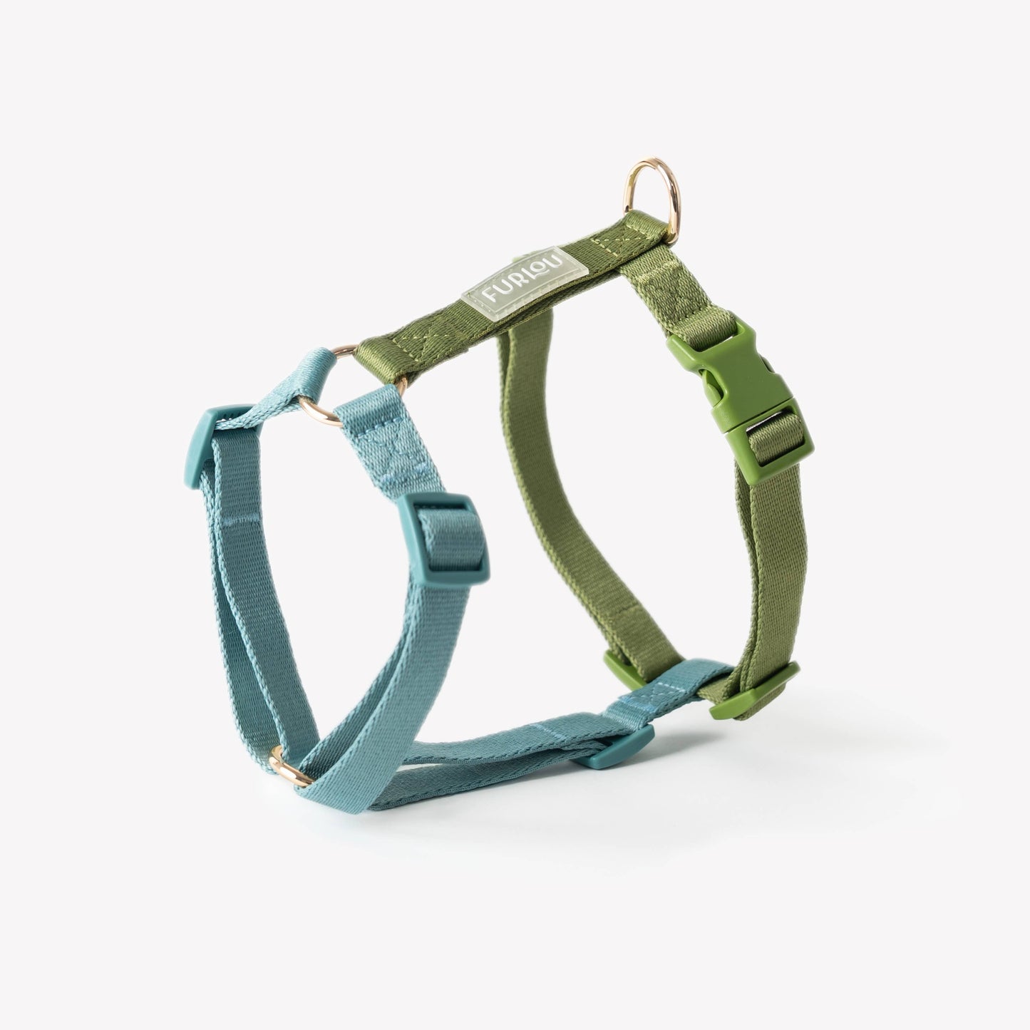Harnais pour chien 5 POINTS - Bleu + Vert - Furlou
