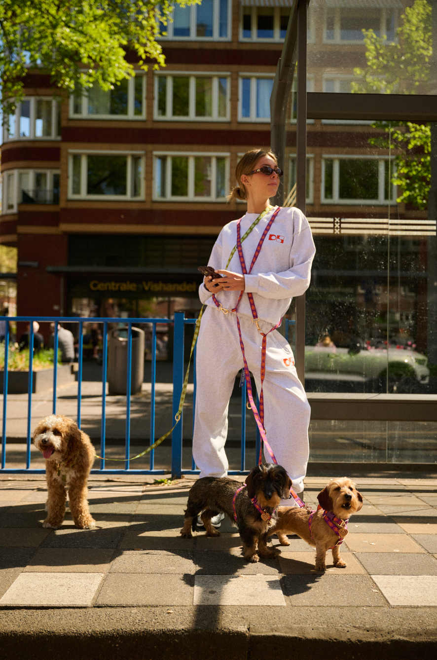 Laisse mains libre pour chien - Vert - Furmey