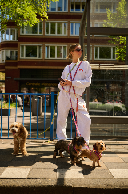 Laisse mains libre pour chien - Vert - Furmey