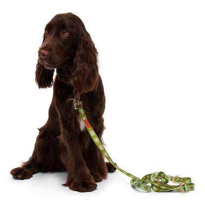 Laisse mains libre pour chien - Vert - Furmey