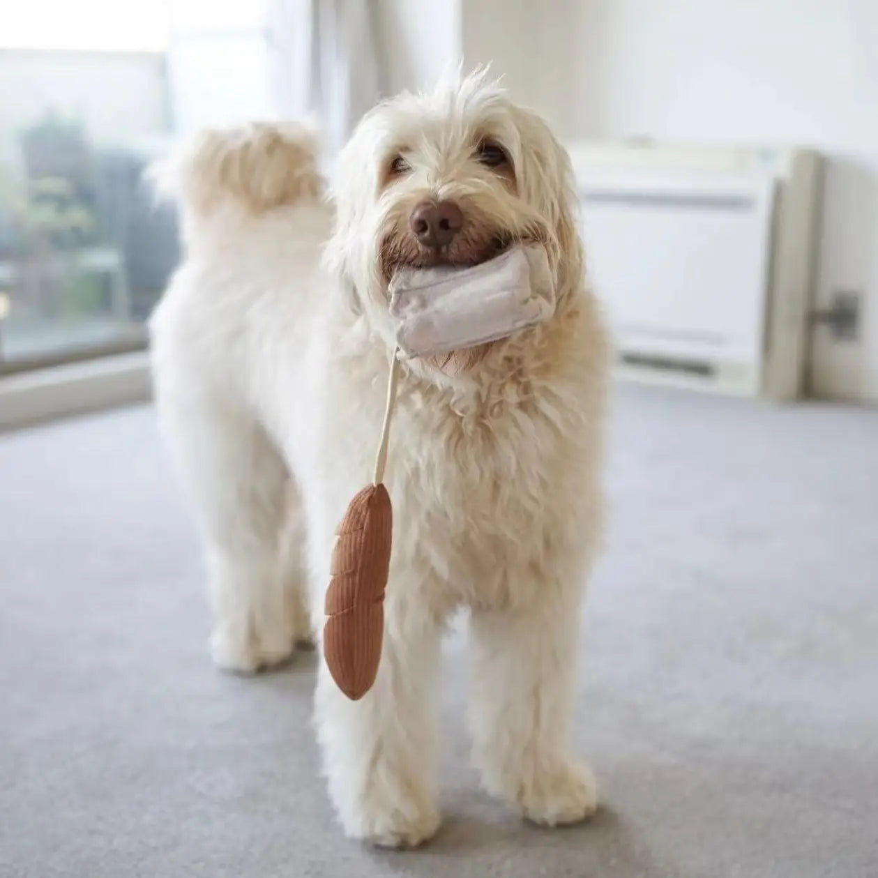 Peluche Mini Baguette 🥖