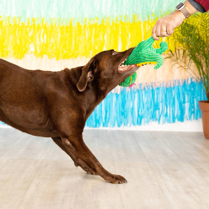 Jouet pour chien dinosore fleurie - Petshop