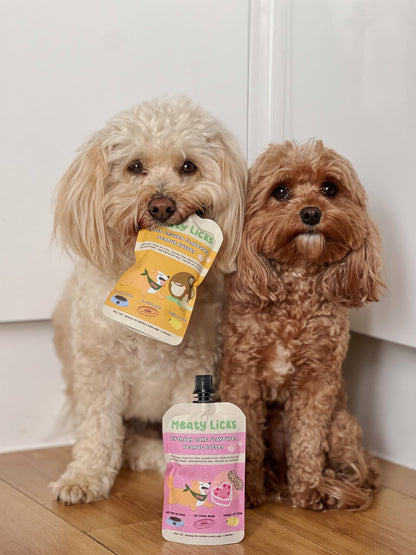 Friandise en Tube de beurre de cacahuète au poulet rôti pour chiens