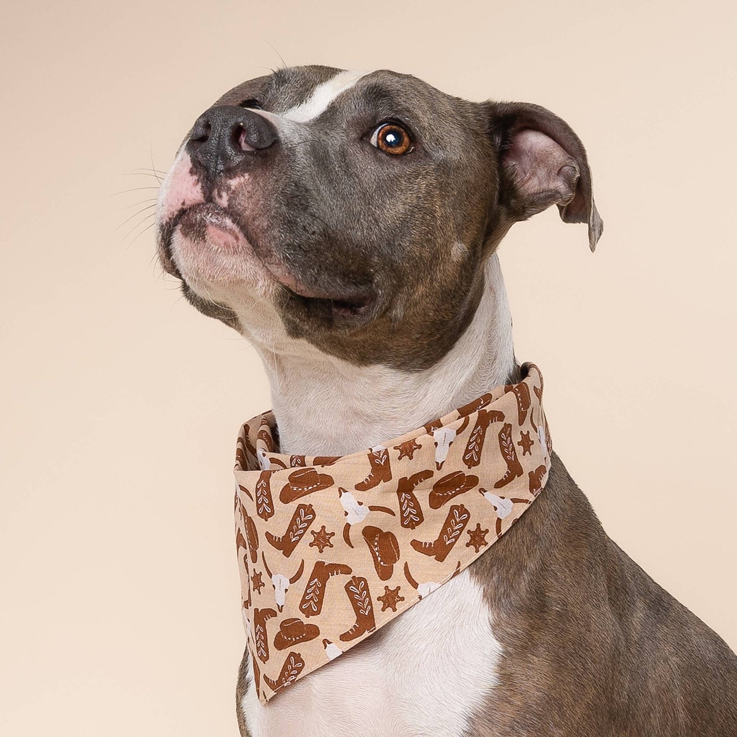 Bandana pour chien cow-boy - The Paws
