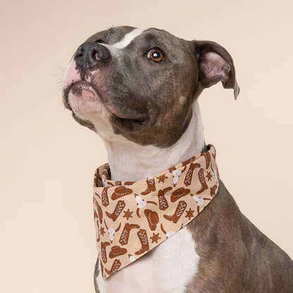 Bandana pour chien cow-boy - The Paws