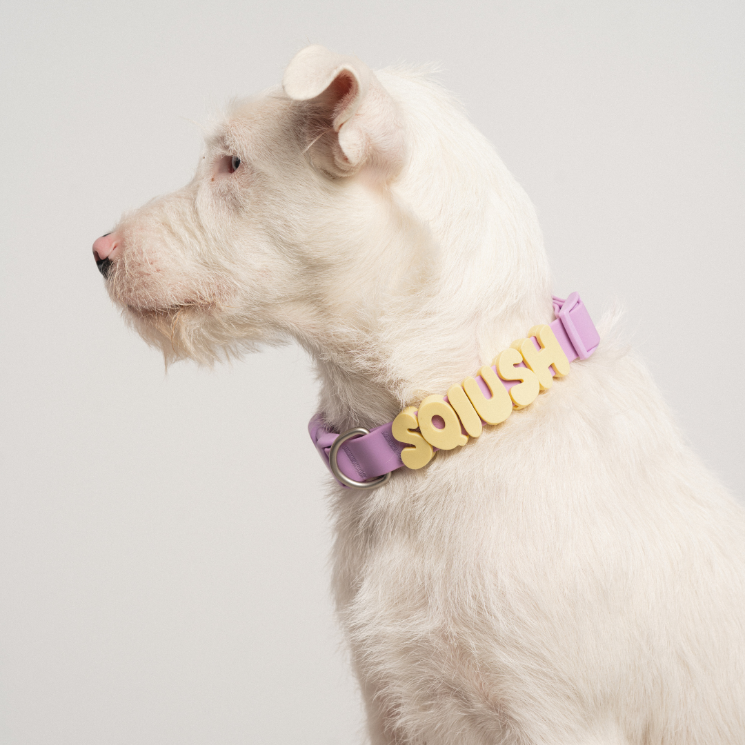 Charms pour chiens en silicone - Lilas -  SpringerLand Pets