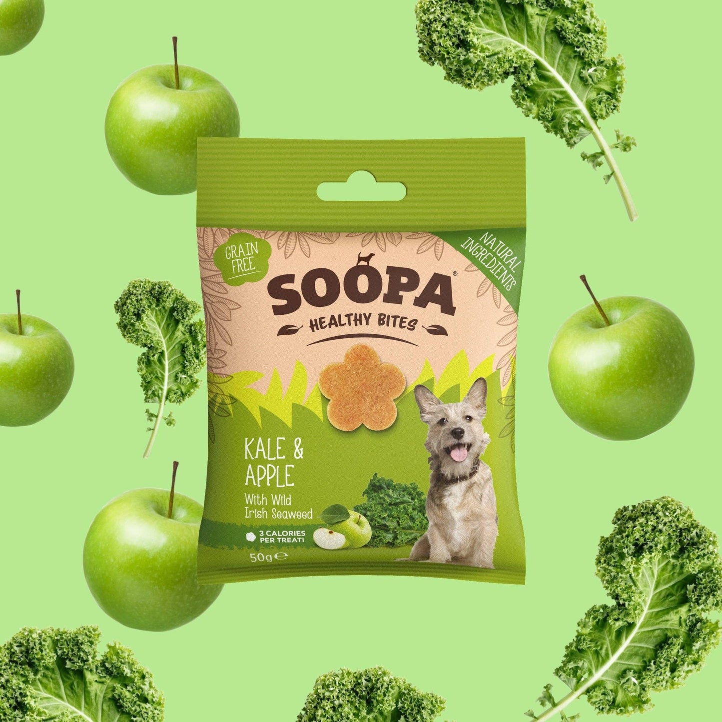 Friandises pour chiens au chou kale et pomme - Soopa
