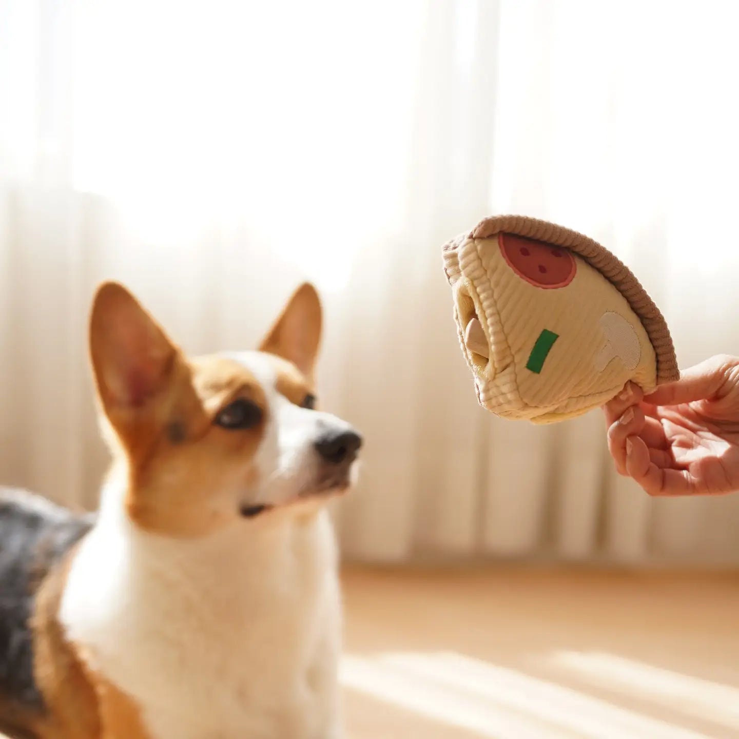 jouet de fouille pour chien -  Pizza  - lambwolf🍕