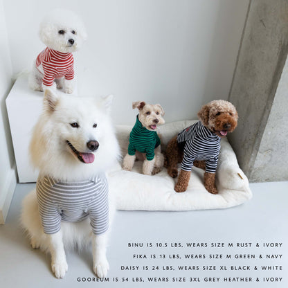 Pull pour chien à rayures - Noir et blanc - The Furryfolks