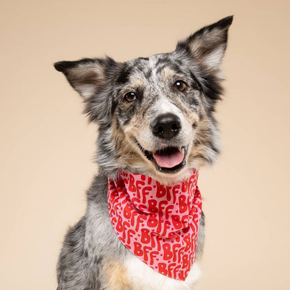 Bandana pour chien - BFF - The Paws