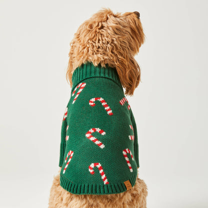 Pull pour chien en bonbon de Noel - Vert