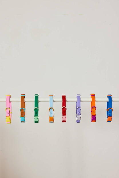 LE COLLIER POUR CHIEN - BLEU & ORANGE - APPROVED BY FRITZ